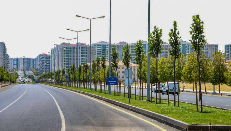DBB’nin hedefi daha yeşil bir Diyarbakır