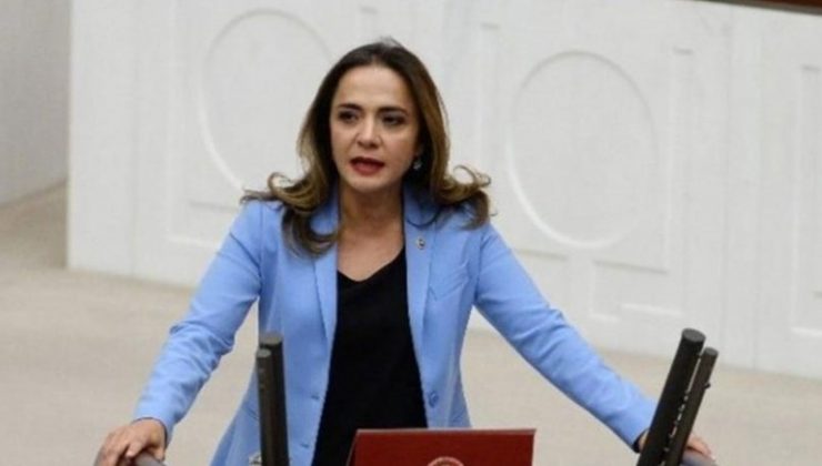 CHP’li İlgezdi: Yaşlı Aylığı Fitreye Yetmiyor