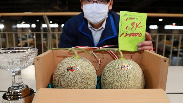 Japonya’da 2 Kavun Açık Artırmayla Rekor Fiyata satıldı