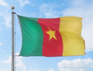 Li Kamerunê êrîş li gundîyên ku dayîna xeracê qebûl nekirin hat kirin: 24 mirî û 60 birîndar