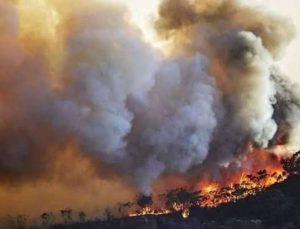 Li Pakistanê şewata daristanê: 4 mirî