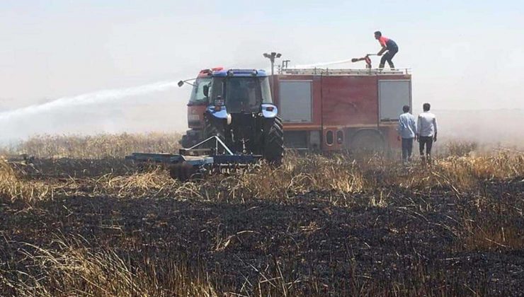 50 dönümlük buğday küle döndü
