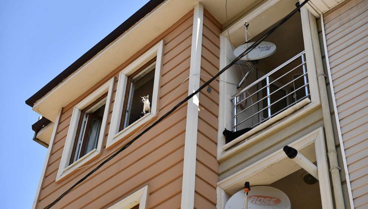 Bursa’daki Çöp Evden Onlarca Kedi Çıktı