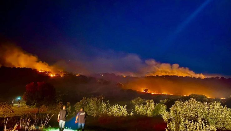 Diyarbakır’da Orman Yangını