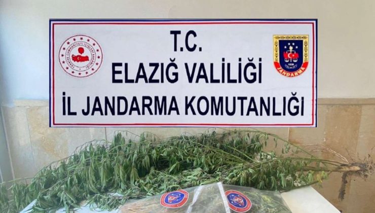 Elâzığ’da Uyuşturucu Operasyonu