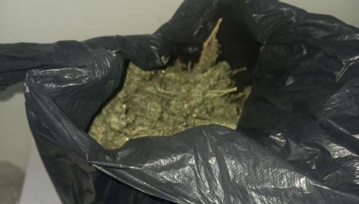 Diyarbakır’da Narkotik ve Asayiş Uygulamaları Yapıldı: 11 Tutuklama