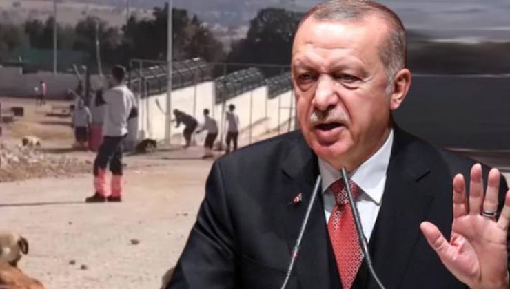 Erdoğan’dan Konya Hayvan Barınağı’ndaki vahşete ilişkin açıklama