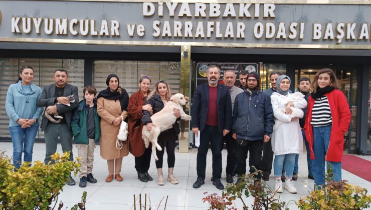 DİKO Başkanı Yüksel: Sesimizi duyun