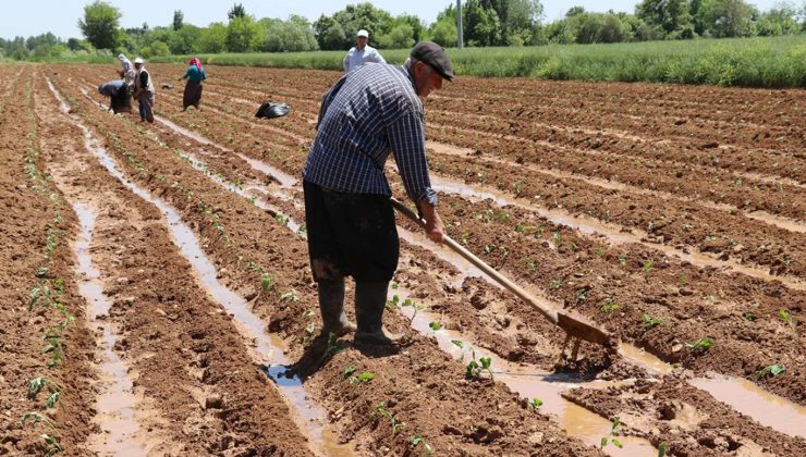 Çiftçi Kayıt Sistemi başvurularında son gün
