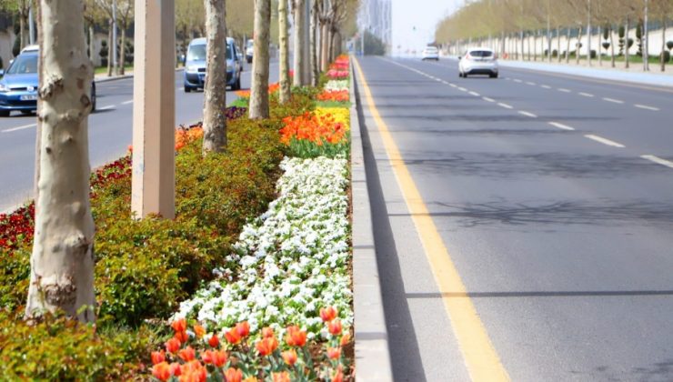 Diyarbakır 2022’de 3 milyon 384 bin mevsimlik çiçekle süslendi