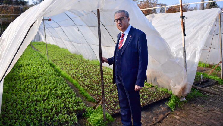 Vali Su şehrin ağaçlandırma çalışmalarıyla ilgili incelemelerde bulundu