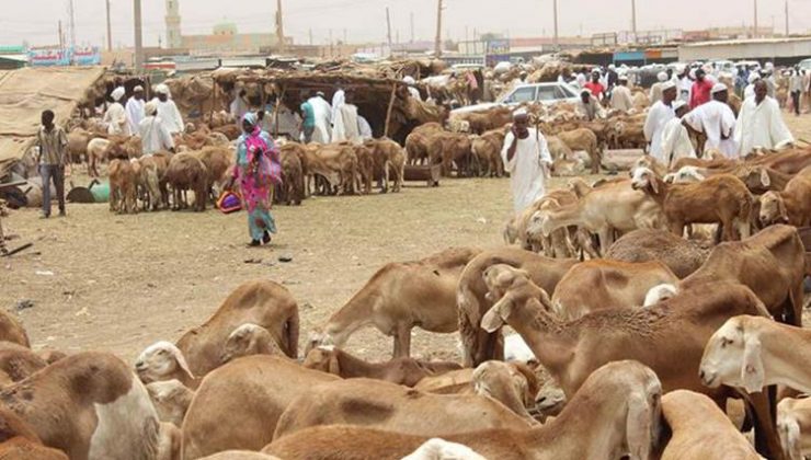 Güney Sudan’da sığır hırsızlarının saldırısında 56 kişi yaşamını yitirdi