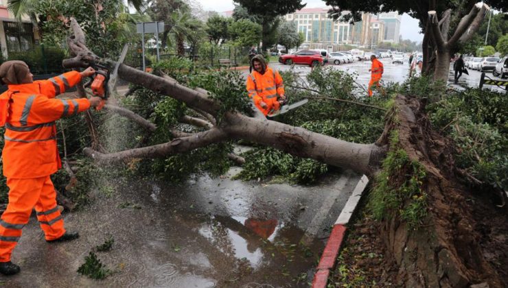 AFAD’dan Antalya ve Manisa açıklaması