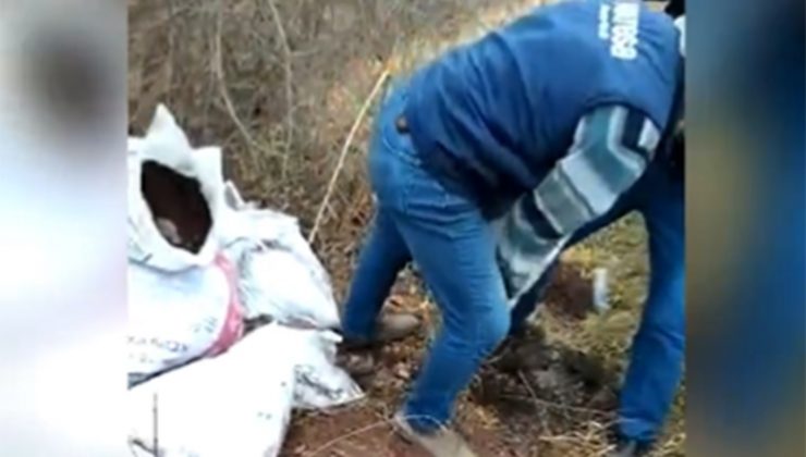 Yol kenarına attıkları molozu, yakalanınca geri topladılar