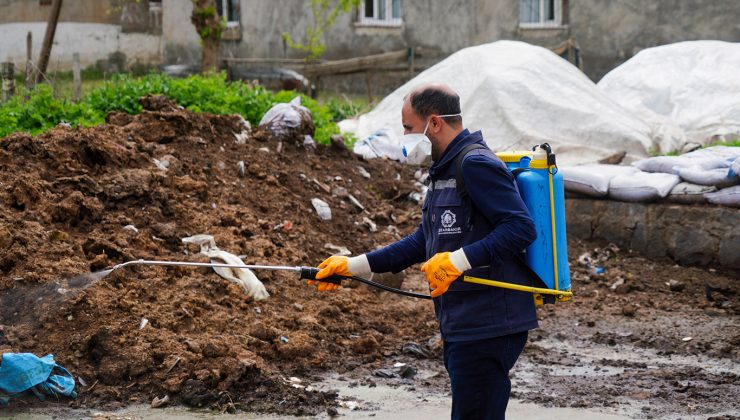 Belirli Alanlar Periyodik Olarak İlaçlanıyor