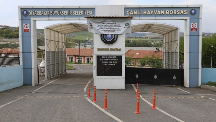 Canlı Hayvan Borsası Yeniden Açılıyor