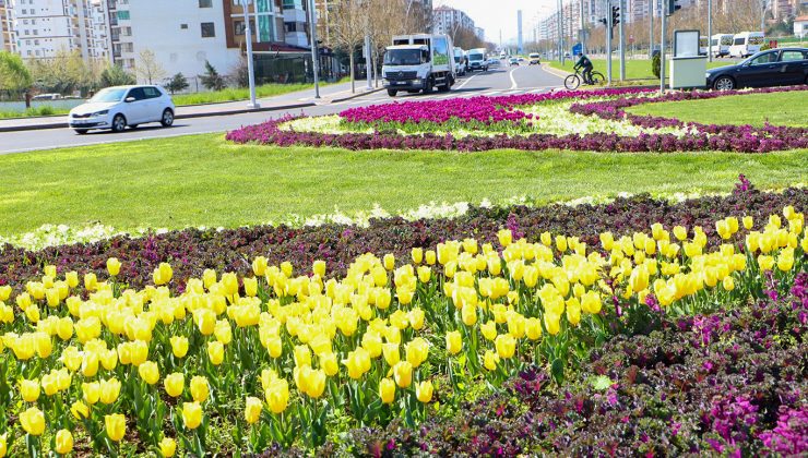 Laleler, Kavşak ve Orta Refüjleri Renklendirdi