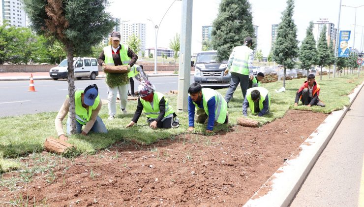 Kavşak ve Refüjlerde Peyzaj Düzenleme Çalışmaları Sürüyor