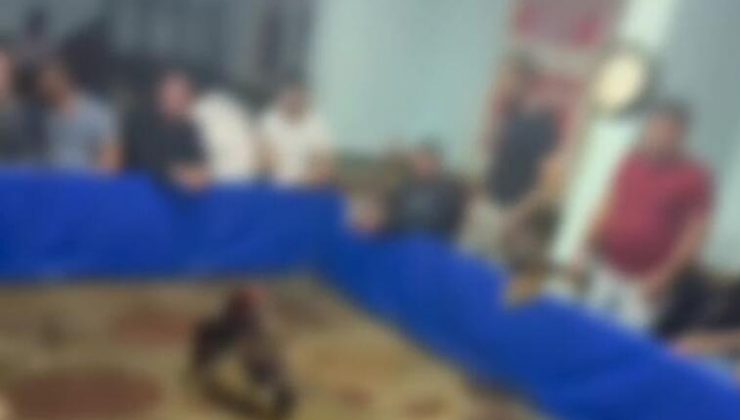 Bismil’de Horoz Dövüşü