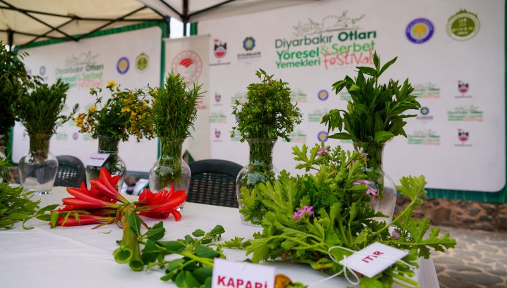 “Kırsal Mutfakta Çok Fazla Ot Çeşitlerimiz Var”
