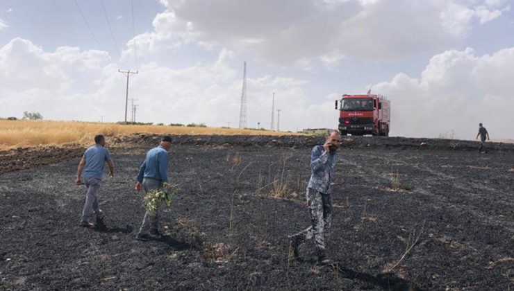 100 Dönümlük Buğday Kül Oldu
