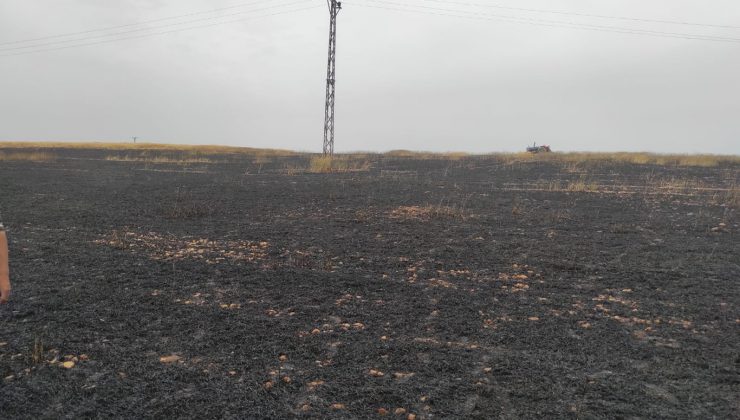 Çınar’da 20 Dönüm Ekili Alan Yandı