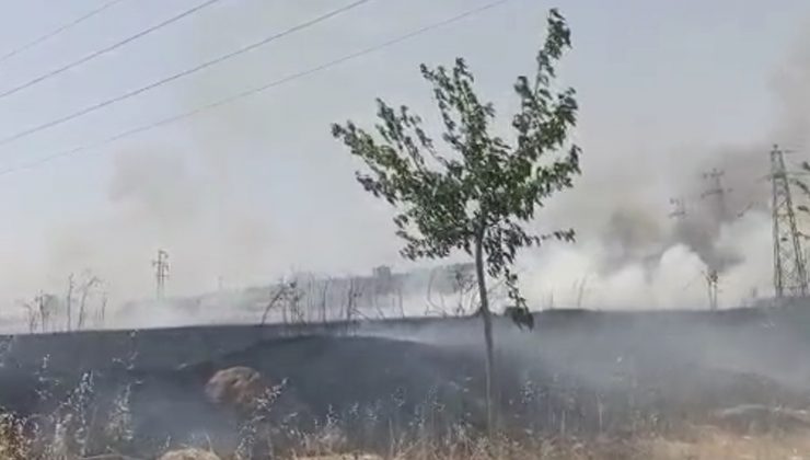 Dicle Üniversitesinde Yangın