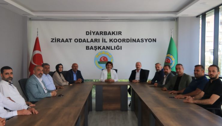 Mirza Kayhan Hanımağa İçin Teşekkür Mesajı Paylaştı