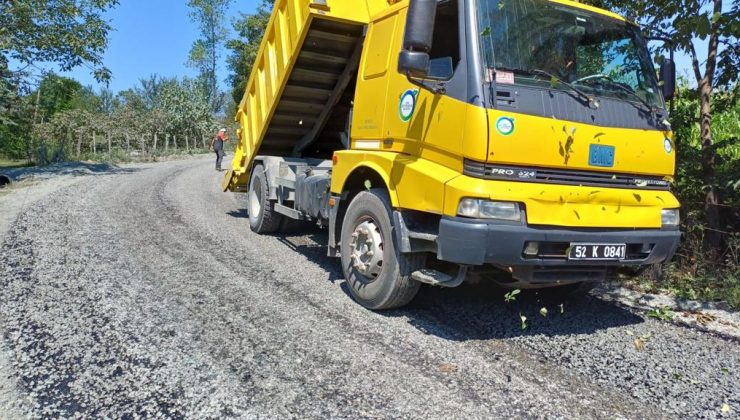 Büyükşehir İlçelerin Sorunlarını Çözüyor