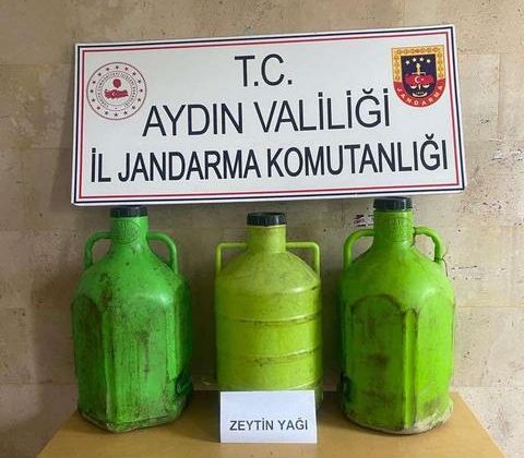 Aydın’da 9 hırsızlık zanlısı tutuklandı