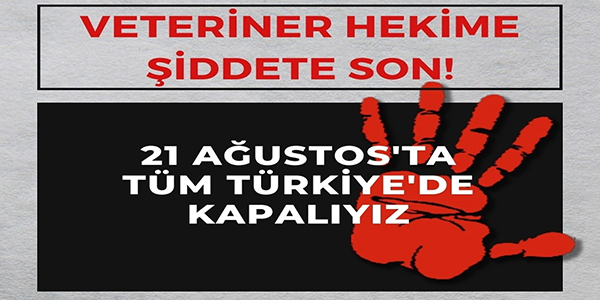 Veteriner Hekimlere Şiddet, Topluma Şiddettir