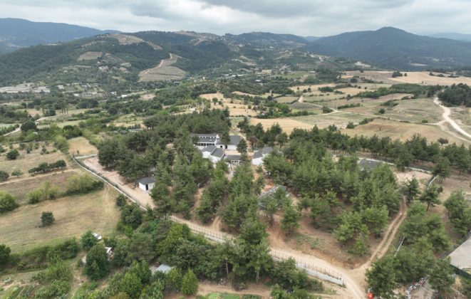 Bursa Büyükşehir’den Can Dostlara Yeni Yuva