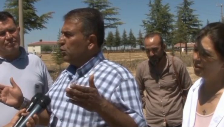 Adli Mahkumlara Eşit Yasa, Eşit Af İstiyoruz