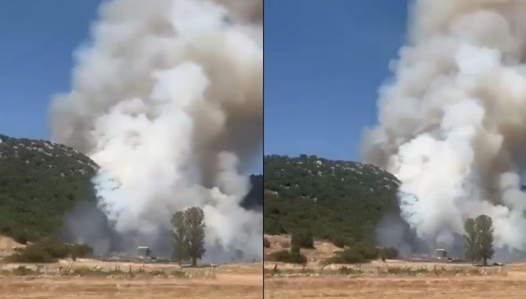 Antalya’da Makilik Alanda Yangın Çıktı