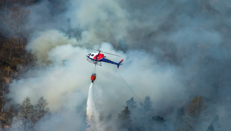 5 İlde Orman Yangınlarına Müdahale Ediliyor 