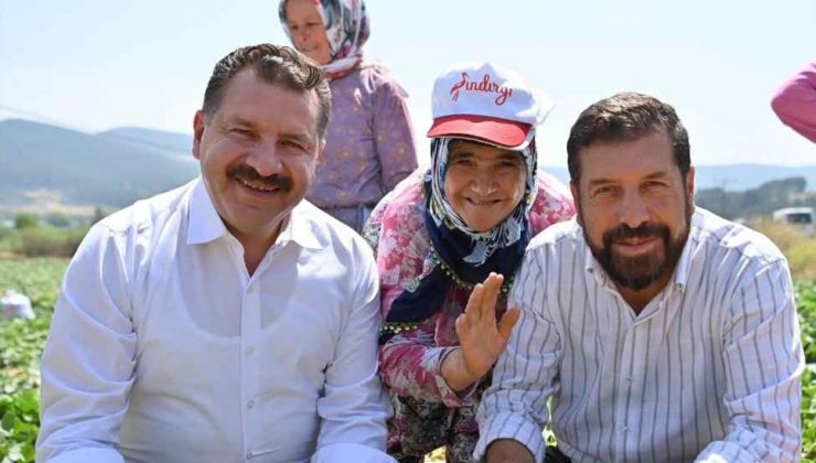 Belediye Başkanı Yılmaz, Kornişon Hasadına Katıldı