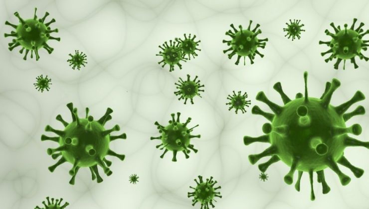 DSÖ, Eris Alt Varyantının Olası Tehlikesine Karşı Uyarıyor