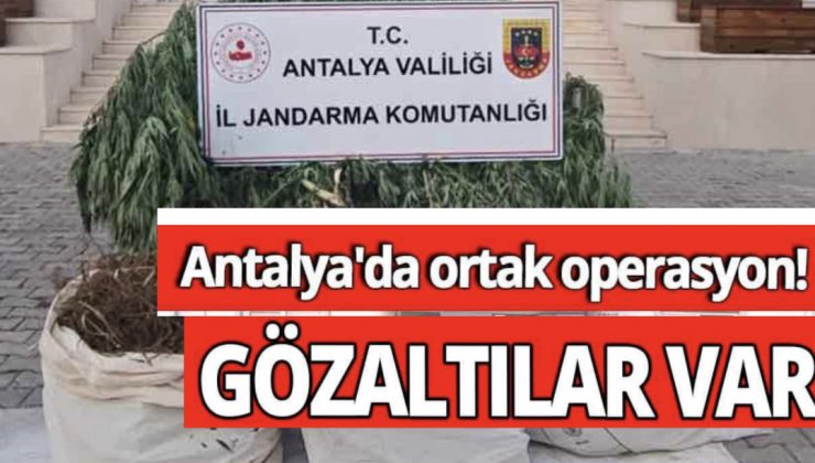 Antalya’da Ortak Operasyon! Gözaltılar Var