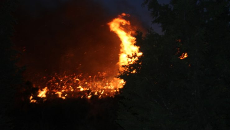 Didim’de korkutan yangın