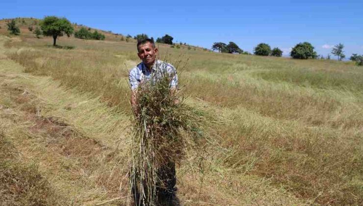 27 Bin Dekar Atıl Arazi Tarıma Açıldı