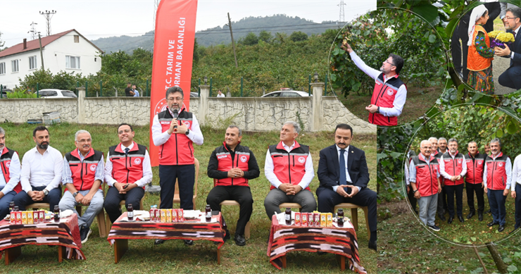 “TMO Fındık Alımlarına 28 Ağustos’ta Başlayacak”
