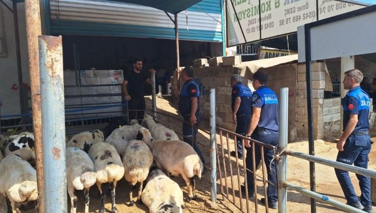 Şanlıurfa Büyükşehir Zabıta’dan Kaçak Kesim Uyarısı