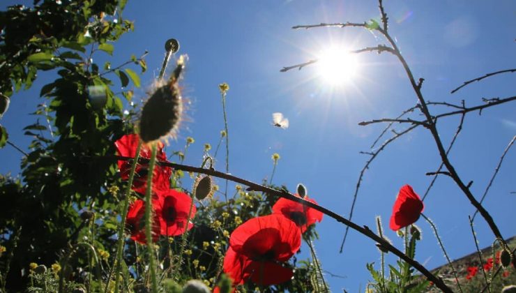 Elazığ İçin Kritik Sıcaklık Uyarısı