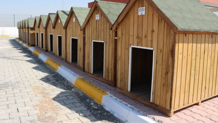 Sokak Hayvanları Rehabilitasyon Merkezi İnşaatı Tamamlandı