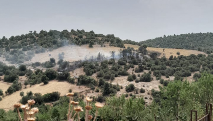 Eşme’de Makilik Alanda Yangın