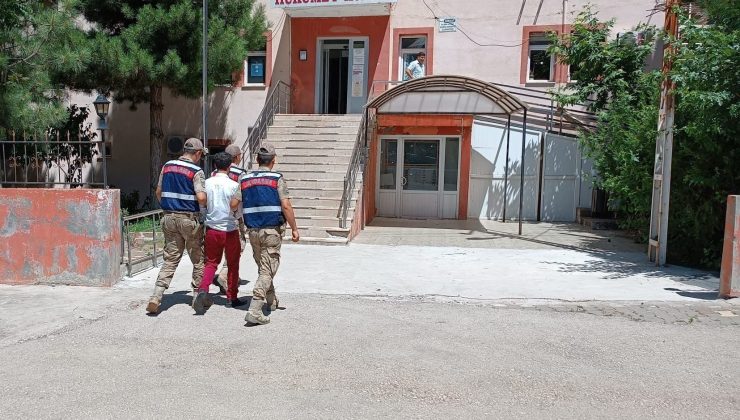 Elazığ’da küçükbaş hayvan hırsızı tutuklandı