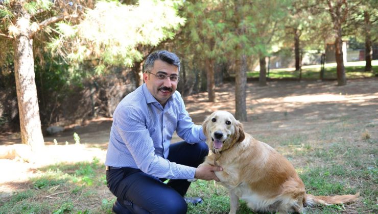 Yıldırım Belediyesi Yaz Sıcaklarında Da Sokak Hayvanlarının Yanında