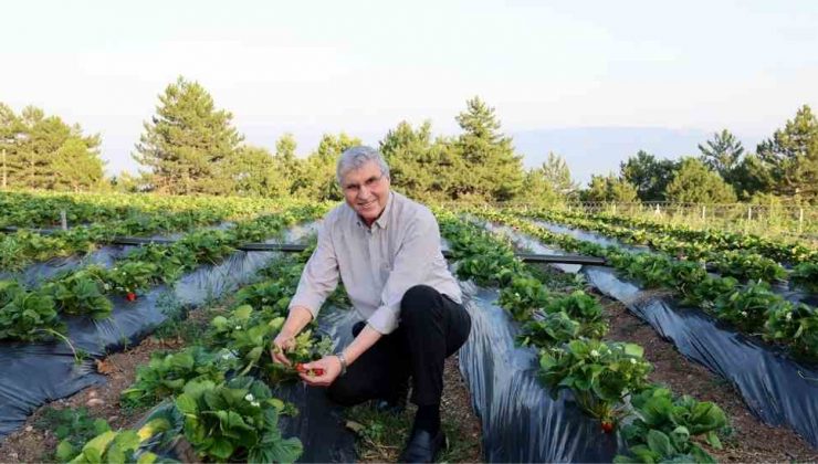 Bu Yıl Rekor Üretim Gerçekleştireceğiz