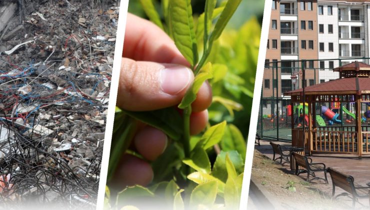 Rize Valiliği Çay Üreticileri Çay Bağışına Çağırdı