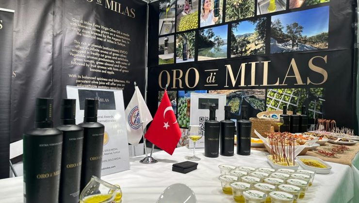 MİTSO AB’ye Açılıyor